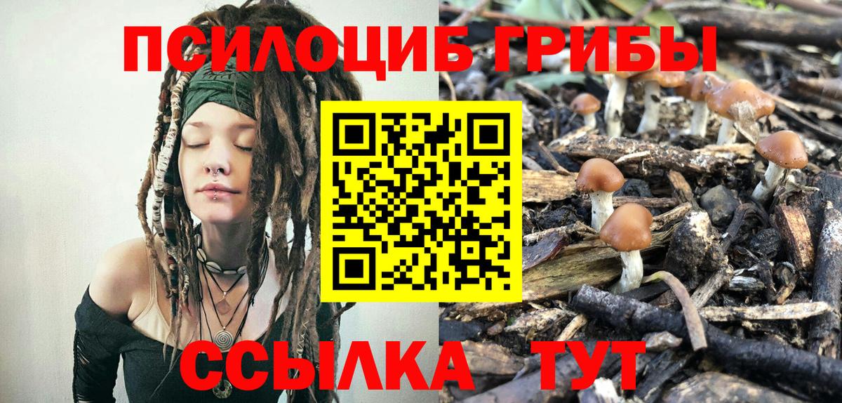 Лесозаводск  Галлюциногенные грибы Psilocybine cubensis  Вход с VPN 